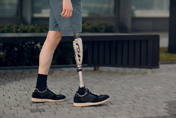 Lower Limb