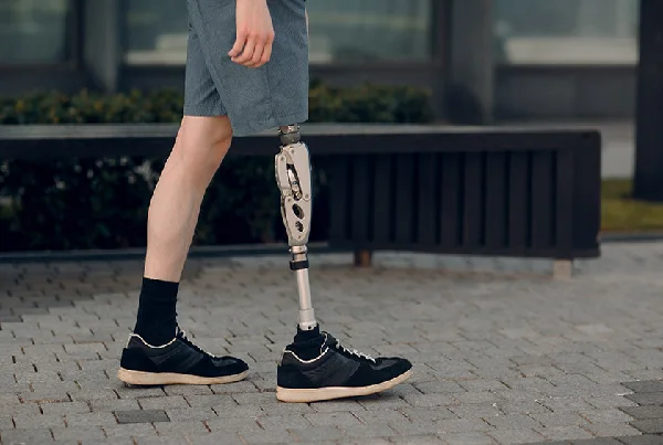 Lower Limb